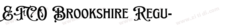 EFCO Brookshire Regu字体转换
